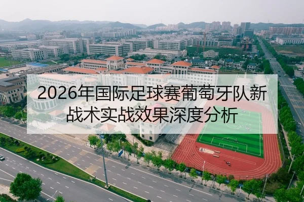 2026年国际足球赛葡萄牙队新战术实战效果深度分析