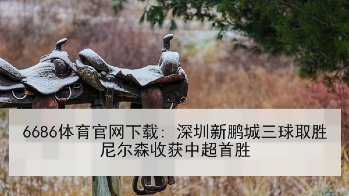 6686体育官网下载: 深圳新鹏城三球取胜尼尔森收获中超首胜